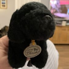 Aurora black labrador for sale  NEWCASTLE UPON TYNE