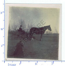 Old photograph horse for sale  BEXLEY