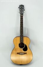 Eastman guitar acoustic for sale  Lincoln