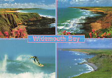 D176112 widemouth bay. for sale  WARLINGHAM