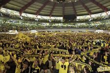 Borussia dortmund bvb gebraucht kaufen  Dortmund