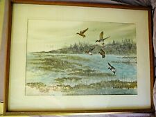 Watercolor ducks mallards for sale  Monteagle