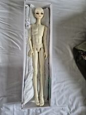 Dollzone wing bjd for sale  CALNE