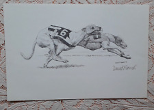 Racing greyhounds signed for sale  LONDON