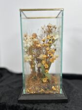 Vintage 70s terrarium for sale  Topeka