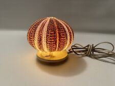 Vintage sea urchin for sale  Ann Arbor