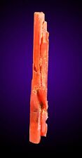 CROCOITE MINERAL SPECIMEN AUSTRALIA COLLECTABLE 9 for sale  Shipping to South Africa