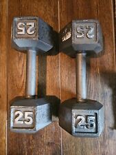 Pair lbs dumbbells for sale  Elverson