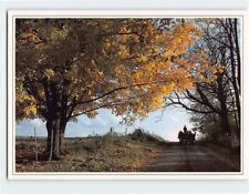 Postcard amish wagon for sale  Stevens Point