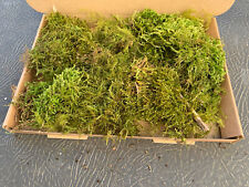 Live sphagnum moss for sale  SOUTH MOLTON