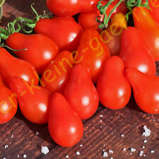 Tomate rotes birnchen gebraucht kaufen  Homberg (Efze)