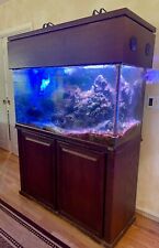 Gallon spectacular reef for sale  Chester