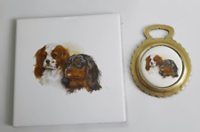 Cavalier king charles for sale  READING