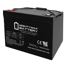 Mighty Max 12V 100Ah SLA AGM Battery for AC Solar Home System SHS12100, used for sale  Shipping to South Africa