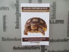 Sulcata tortoise pets for sale  Jupiter