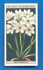 FLOWER CULTURE IN POTS.No.38.ORNITHOGALUM.WILLS CIGARETTE CARD 1925, used for sale  Shipping to South Africa