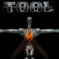 Tool salival banner for sale  Girard