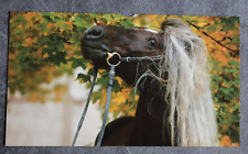 Postkarte schwarzwälder kaltb gebraucht kaufen  Limburg