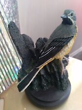 Oiseaux country birds for sale  CHICHESTER