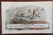 Impresoras de tarjetas comerciales cromadas litografiadas de 1878 de L. Prang & Co. Boston Publisher's segunda mano  Embacar hacia Argentina