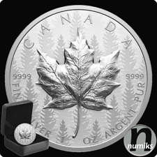 Maple leaf kanada gebraucht kaufen  Ansbach