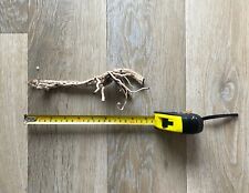 Small root branch for sale  LONDON