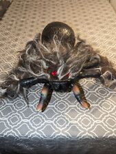 Giant hairy spider for sale  Emmetsburg
