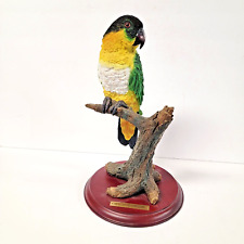 Estatueta de pássaro papagaio caique com tampa preta em galho base de madeira tamanho real 12 polegadas comprar usado  Enviando para Brazil