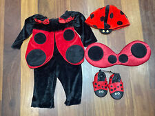 Ladybug plush halloween for sale  Spencerport