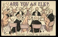 Are You An Elk?  BPOE Elks Club Lodge Comic Greeting   Postcard for sale  Shipping to South Africa