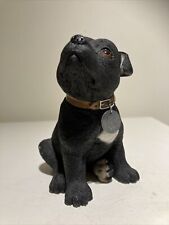 staffordshire bull terrier puppies for sale  BIRMINGHAM