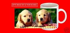 Labrador chien puppy d'occasion  Expédié en Belgium