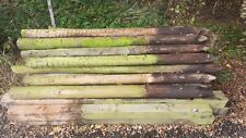 Fence posts preservative for sale  BASINGSTOKE