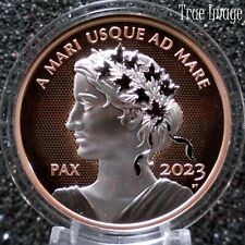2023 PAX Peace Dollar $1 1 OZ Rose Gold Plated Pure Silver UHF Proof Coin Canada till salu  Toimitus osoitteeseen Sweden