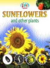Sunflowers plants sally for sale  Shipping to Ireland