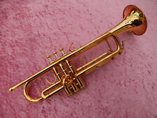 Vergoldete profi trompete gebraucht kaufen  Lüneburg