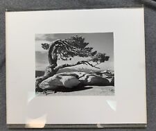 Ansel adams special for sale  Rhinebeck