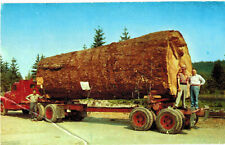 1940s giant fir for sale  Rogers