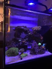 red sea max s for sale  WALTHAM CROSS