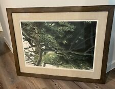 Robert bateman pine for sale  North Richland Hills