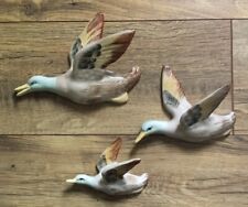 Vintage flying duck for sale  NEWCASTLE