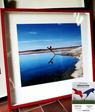 Storm thorgerson healing for sale  UXBRIDGE