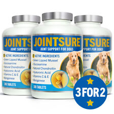 Jointsure dog joint for sale  CARDIFF