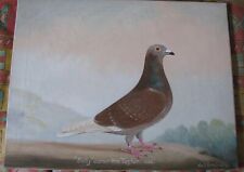 Pigeon painting windred for sale  WALLINGTON