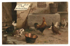 Coq poules lapins d'occasion  Villenave-d'Ornon