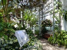 Allan gardens tropical d'occasion  Expédié en Belgium