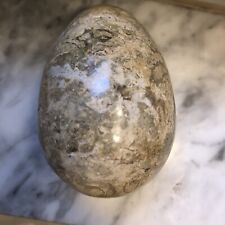 Fossil stone polished for sale  Beverly Hills