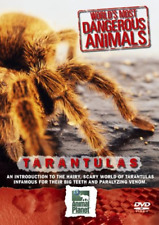 Dangerous animals tarantulas for sale  UK