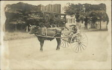 Rppc photo oxen for sale  Shipping to Ireland