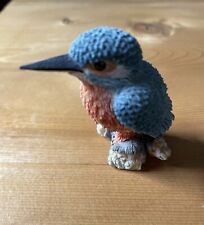 kingfisher bird for sale  WORCESTER